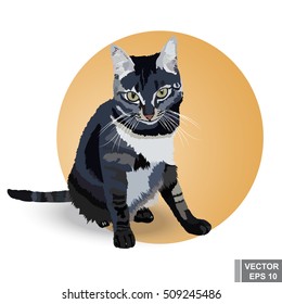 Realistic cat. Beautiful gray. Sitting watching. For your design.