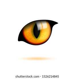 Realistic cat eye. Isolated colorful half closed look. Vector illustration.