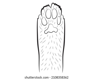 Realistic cat paw pet cute. Hand drawing. Vector illustration .
