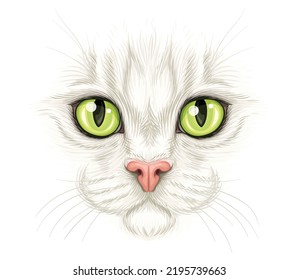 Retrato realista de gatos. Hermosa boquilla de gatito con grandes ojos verdes cerca. Diseñar para imprimir. Cara del tierno animal esponjoso. Ilustración vectorial 3D digital aislada en blanco