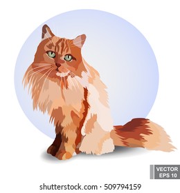 realistic cat. Red color. Sitting watching. Pet. Adoption.
