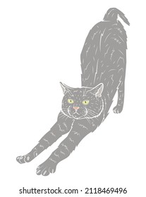 Realistic cat stretches in isolate on white background. Vector graphics.