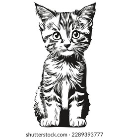 Realistic Cat vector, hand drawn animal illustration kitten
