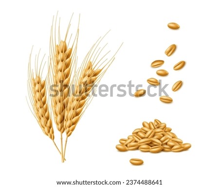 Similar – Image, Stock Photo Ripe ears Cereal grain