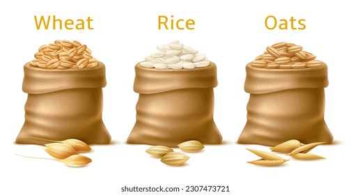 Realistic cereals in sacks. Various isolated grain crops in bags, agriculture plants wheat, rice and oats, 3d farm element, natural food product packaging. Cooking ingredient utter vector set