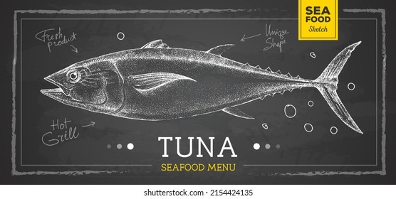 Realistic Chalk Drawing Tuna Fish Vector Illustration. Seafood Menu Design