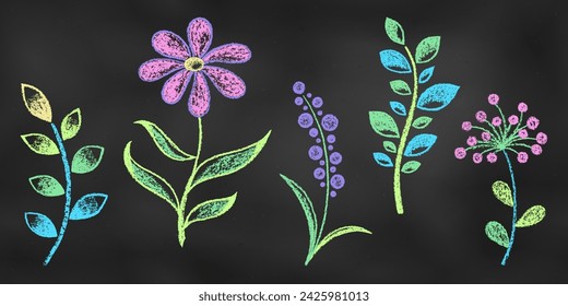 Realistische Kreide gezeichnete Skizze. Set von Design Botanische Elemente Blumen, Blätter und Zweige isoliert auf Kreidetafel Hintergrund. Kit von Textural Crayon Zeichnungen von Kamille, Mimosa, Springs auf Blackboard.