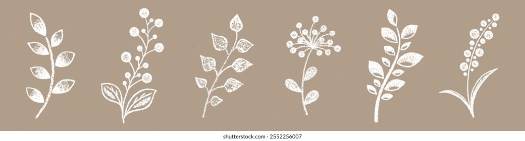 Realistic Chalk Hand-Drawn Sketch. Set of Vintage Design Elements Sprigs Isolated on Craft Paper. Kit of Textural Grunge Crayon Drawings of White Twigs on Papercraft.