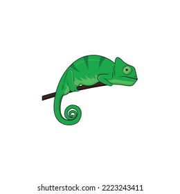 Realistic chameleon isolated  vector graphisc