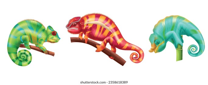 Realistic chameleon lizards icon set with green red and light blue colors vector illustration