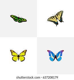Realistic Checkerspot, Archippus, Bluewing And Other Vector Elements. Set Of Beauty Realistic Symbols Also Includes Tiger, Fly, Monarch Objects.