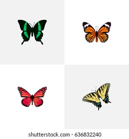 Realistic Checkerspot, Beauty Fly, Azure Peacock And Other Vector Elements. Set Of Beauty Realistic Symbols Also Includes Butterfly, Peacock, Swallowtail Objects.