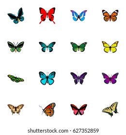 Realistic Checkerspot, Bluewing, Callicore Cynosura And Other Vector Elements. Set Of Beautiful Realistic Symbols Also Includes Bluewing, Sky, Butterfly Objects.