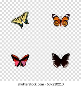 Realistic Checkerspot, Callicore Cynosura, Monarch And Other Vector Elements. Set Of Moth Realistic Symbols Also Includes Tiger, Monarch, Red Objects.