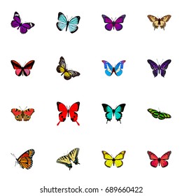 Realistic Checkerspot, Callicore Cynosura, Tiger Swallowtail And Other Vector Elements. Set Of Beauty Realistic Symbols Also Includes Julia, Beauty, Green Objects.