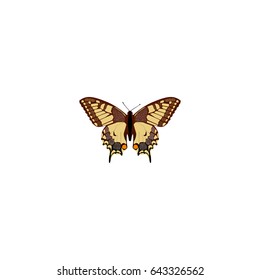 Realistic Checkerspot Element. Vector Illustration Of Realistic Tiger Swallowtail Isolated On Clean Background. Can Be Used As Tiger, Swallowtail And Butterfly Symbols.