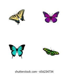 Realistic Checkerspot, Green Peacock, Purple Monarch And Other Vector Elements. Set Of Butterfly Realistic Symbols Also Includes Green, Violet, Bluewing Objects.