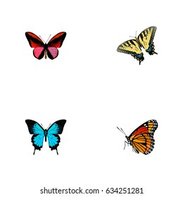 Realistic Checkerspot, Milkweed, Callicore Cynosura And Other Vector Elements. Set Of Beauty Realistic Symbols Also Includes Cynosura, Swallowtail, Monarch Objects.