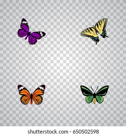 Realistic Checkerspot, Monarch, Butterfly And Other Vector Elements. Set Of Beauty Realistic Symbols Also Includes Monarch, Orange, Green Objects.