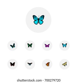 Realistic Checkerspot, Papilio Ulysses, Spicebush And Other Vector Elements. Set Of Beauty Realistic Symbols Also Includes Tiger, Black, Hypolimnas Objects.