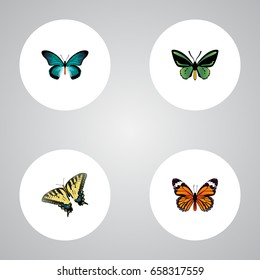 Realistic Checkerspot, Pipevine, Monarch And Other Vector Elements. Set Of Moth Realistic Symbols Also Includes Orange, Butterfly, Swallowtail Objects.