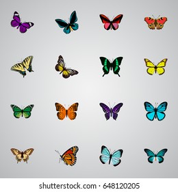 Realistic Checkerspot, Pipevine, Polyommatus Icarus And Other Vector Elements. Set Of Butterfly Realistic Symbols Also Includes American, Malachite, Beauty Objects.