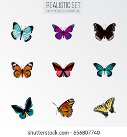 Realistic Checkerspot, Purple Monarch, Spicebush And Other Vector Elements. Set Of Moth Realistic Symbols Also Includes Black, Bluewing, Blue Objects.