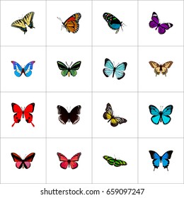 Realistic Checkerspot, Sangaris, Green Peacock And Other Vector Elements. Set Of Beauty Realistic Symbols Also Includes Julia, Beautiful, Brown Objects.