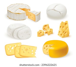Realistic cheese. 3d Cheeses kinds, slice piece and whole cheddar hard edam raw cottage white mascarpone gouda block swiss tasty appetizer dairy product nowaday vector illustration