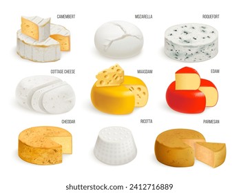 Tipos de queso realistas. Colección de quesos variados, bocadillo brie gouda parmesan cheddar mozzarella tentempié italiano suiza comida gourmet delicatessen, producto lácteo ilustración vectorial de cheddar delicatessen