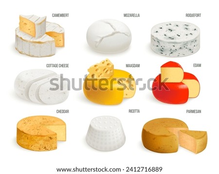 Realistic cheese types. Various cheeses collection, brie gouda parmesan cheddar mozzarella italian snack swiss delicatessen gourmet food, dairy product vector illustration of cheddar delicatessen