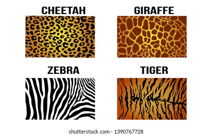 Realistic Cheetah Leopard Giraffe Zebra Tiger Vector Skin Pattern Texture