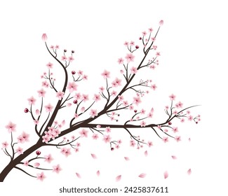 Realistic cherry blossom branch. Vector japan sakura cherry branch with blooming flowers. design constructor with blooming cherry branch. cherry blossom with watercolor blooming sakura flower.