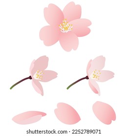 Realistic cherry blossom frame illustration set.