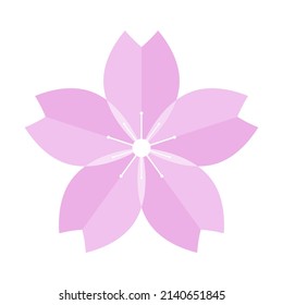 Realistic cherry blossom icon. Vector.