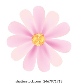 realistic cherry blossom illustration on white background.