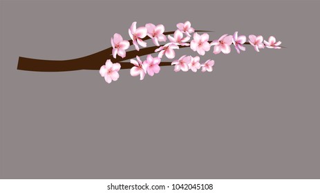 Realistic Cherry Branch Illustration Vector. Blooming Apple, Sakura, Apricot, Peach Twig Blossoms Petals Falling Down Isolated. Japanese Spring Background, Showering Petals, Tender Wedding Decoration.