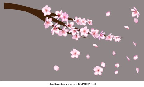Realistic Cherry Branch Illustration Vector. Spring Design with Apple, Peach, Sakura, Apricot Blossoms and Petals Falling Down. Realistic Vector Cherry Branch, Showering Petals, Wedding Decoration.