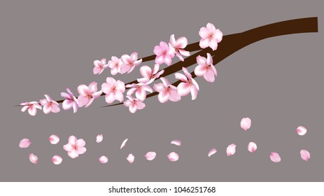Realistic Cherry Branch Illustration Vector. Blooming Apple, Sakura, Apricot, Peach Twig Blossoms Petals Falling Down Isolated. Realistic Blossom Cherry Branch, Showering Petals, Wedding Decoration.