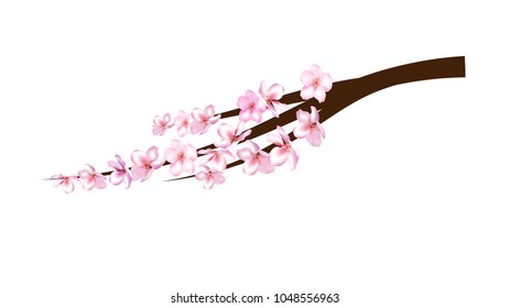 Realistic Cherry Branch Vector Illustration. Spring Design with Sakura, Apricot, Apple, Peach Blossoms and Falling Down Petals. Magic Love Spring Background, Nice Showering Petals, Wedding Decoration.