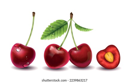 Realistic cherry composition with set of isolated berries with water drops stalks and half with shadows vector illustration