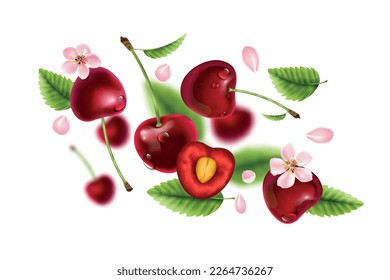 Realistische Flugkomposition der Kirschen mit isolierter Bewegungssicht auf Beeren mit Blüten auf unscharfem Hintergrund, Vektorgrafik