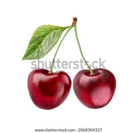 Realistic cherry with fresh leaves, red juicy on a white background for design