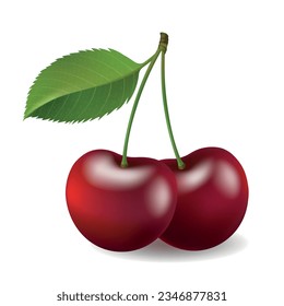 Realistic cherry isolated. 3d cherries vegetarian fruits for yogurt pie juice package photos, cherrys vector illustration, cherris berries on white