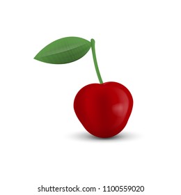 Realistic cherry isolated on a twhite background. Vector illustration. EPS 10
