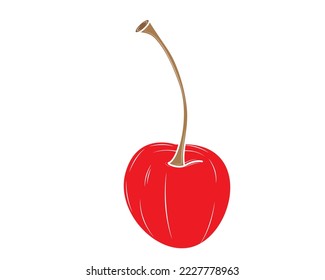 Cerezo realista aislado en el fondo blanco. Ilustración vectorial.