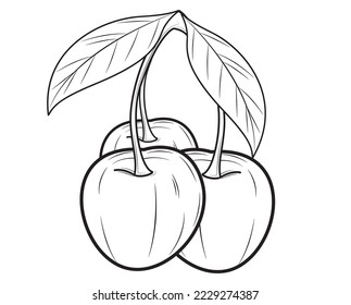 Realistic cherry isolated on white background. Vector illustration.