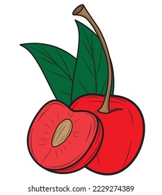 Realistic cherry isolated on white background. Vector illustration.