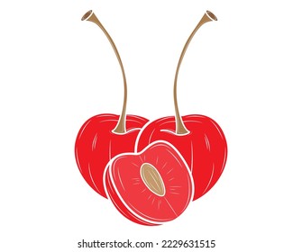 Realistic cherry isolated on white background. Vector illustration.