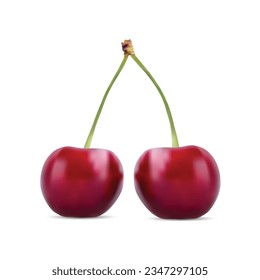 Realistic Cherry isolated vector on white background